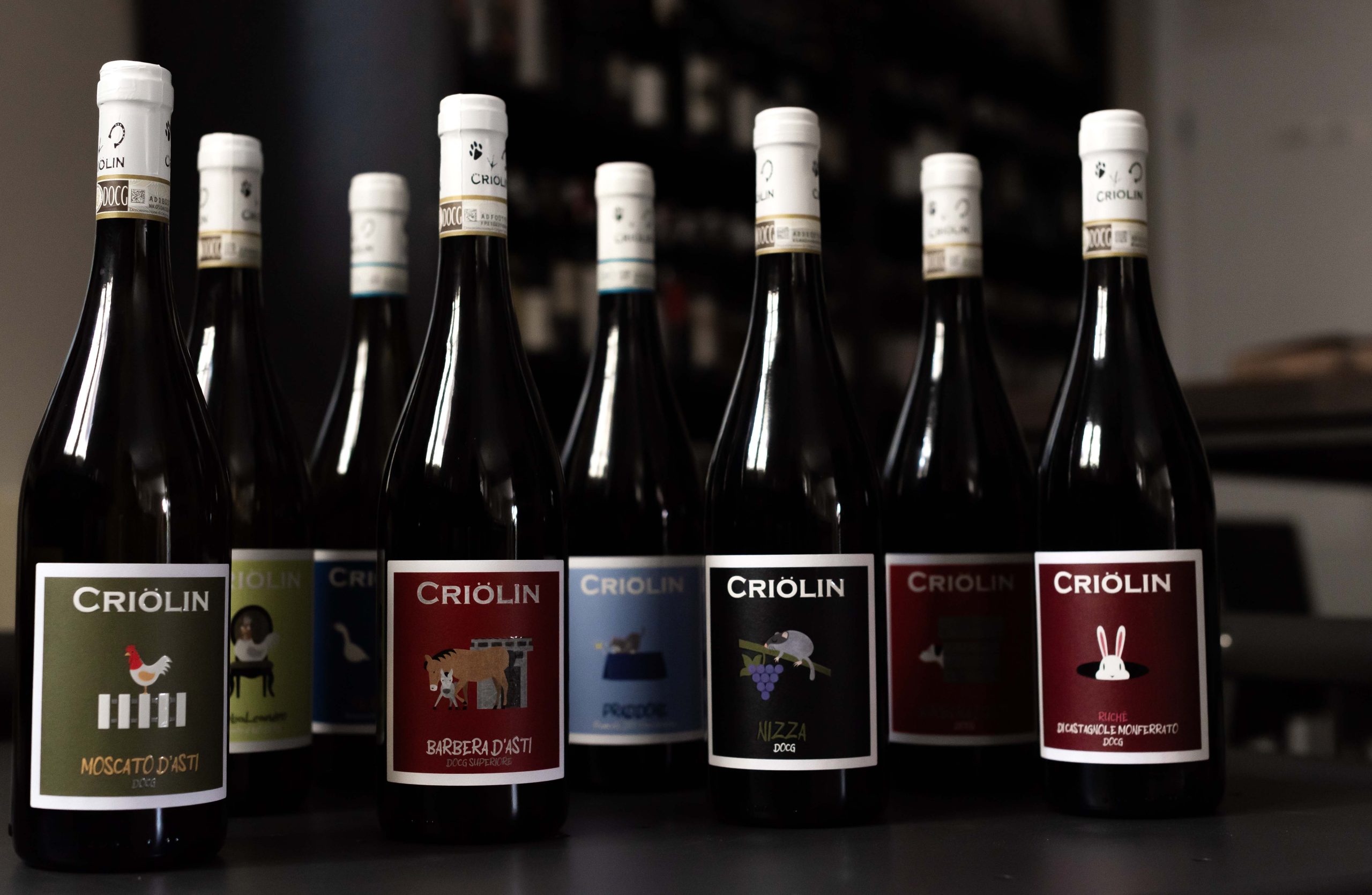 Vini Criolin Castagnole delle Lanze: Eccellenza e Tradizione