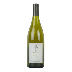 Domaine Tinel Blondelet 2019 Sancerre AOC Blanc Fretoy