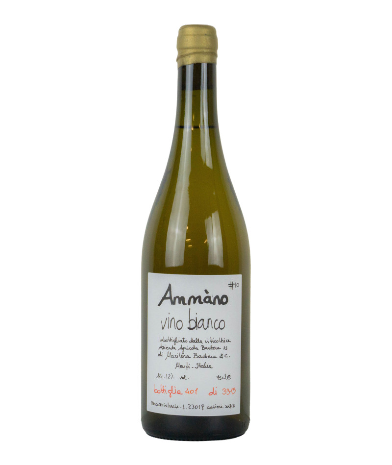 Cantine Barbera Vino Da Tavola Bianco Ammano 10